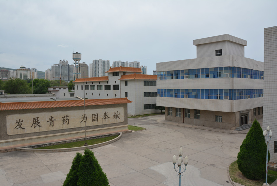 厂区风貌 1 K8凯发制药厂区