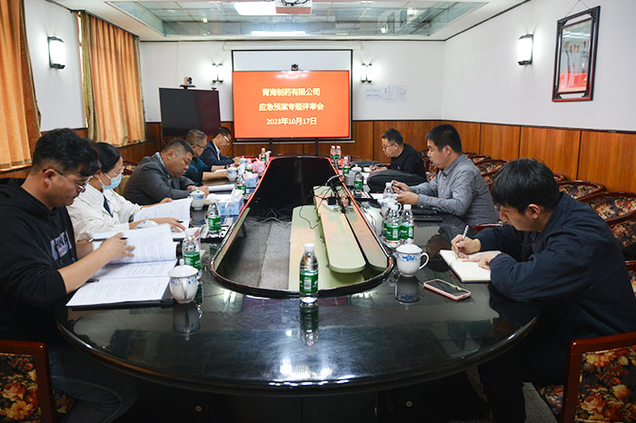 公司召开生产安全事故 应急预案专题评审会